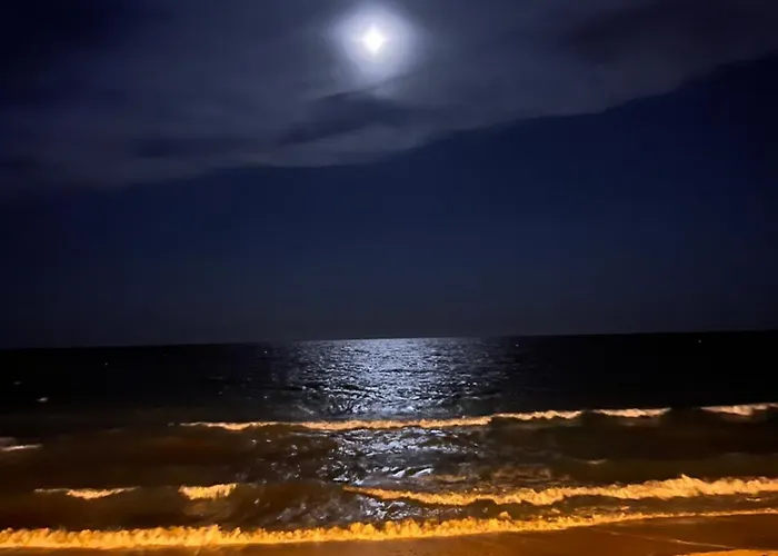 Midas One Appartement *